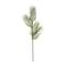 12 Pack: Green Tropical Areca Palm Stem by Ashland®